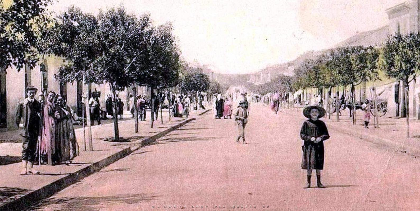 1661- Ain-Temouchent - Boulevard2 National - Collection Monneret.jpg